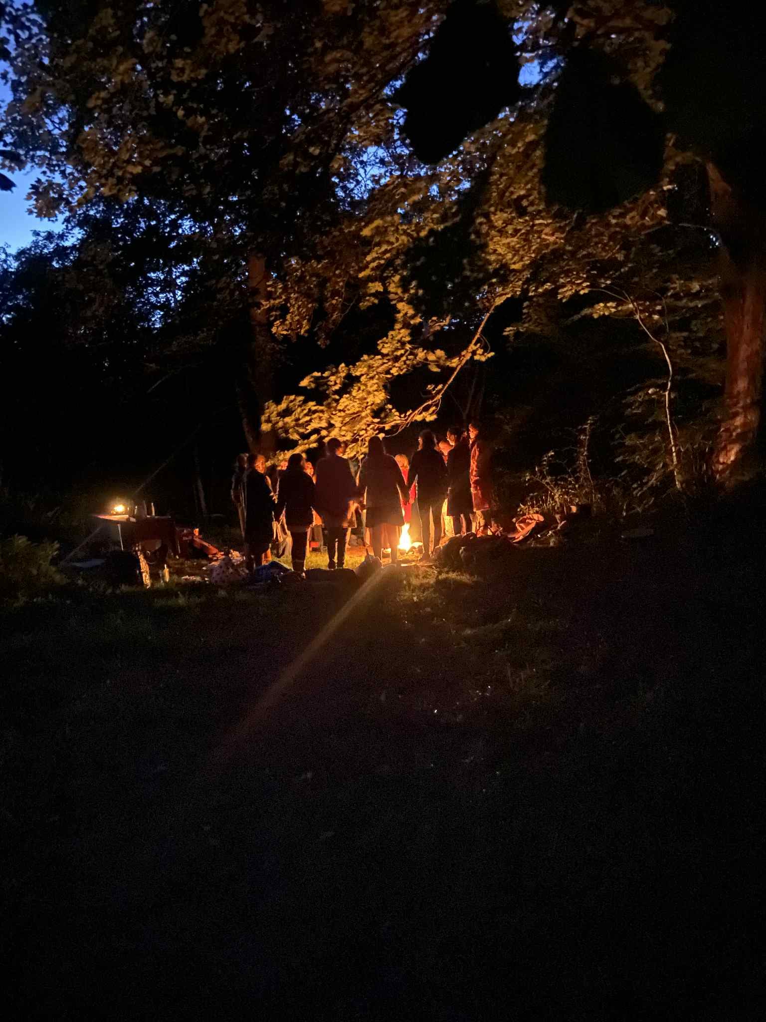 SKOVSANG
